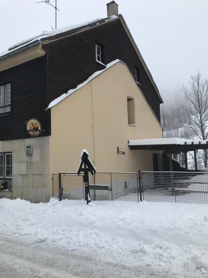 Penzion Hajenka Petrovice  Eksteriør billede