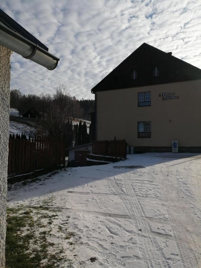 Penzion Hajenka Petrovice  Eksteriør billede